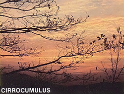 Precipitation is likely in 24 hours when cirrocumulus clouds are accompanied by northeast to southerly winds, while north or western winds signal dry weather.